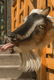 events/card/ac/63/ac633348327daf8172b7a0ad72ccc0cb.webp