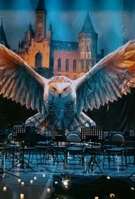 Harry Potter. Magic Music